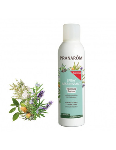 Pranarom Aromaforce Spray Assainissant Ravintsara Tea-Tree Bio - 150ml