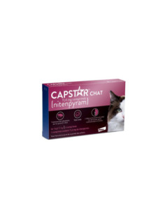 Elanco Capstar anti-puces 11,4mg Chat de 1 à 11 kg - 6...