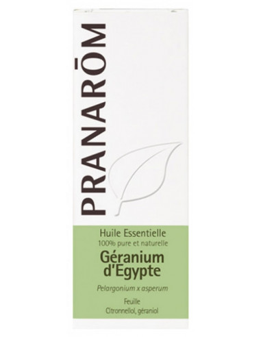 Pranarôm Huile Essentielle Géranium d'Egypte (Pelargonium graveolens) - 10 ml 
