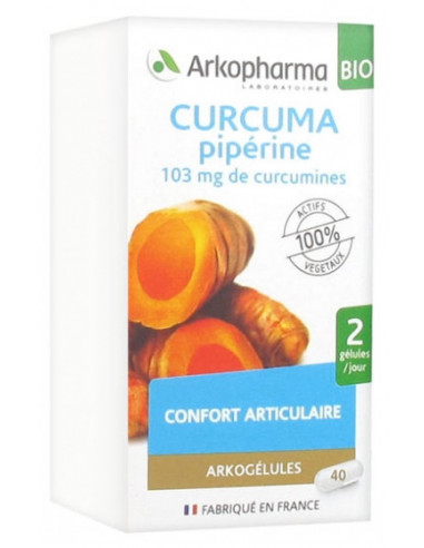 Arkopharma Arkogélules Curcuma Pipérine Bio - 40 Gélules
