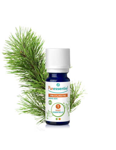 Huile Essentielle Sylvest Bio - 5ml